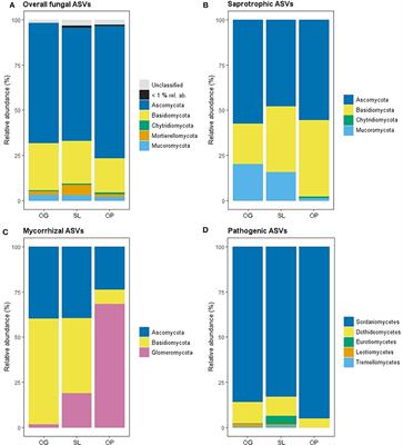 Soil Fungal Community Characteristics and Mycelial Production Across a Disturbance Gradient in Lowland Dipterocarp Rainforest in Borneo